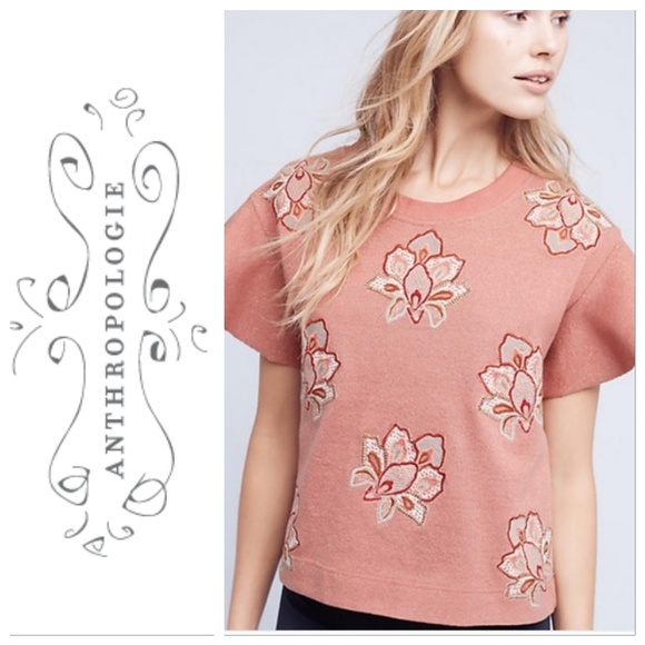 Anthropologie Tops - Anthropologie Chloe Oliver pink embroidered top XS